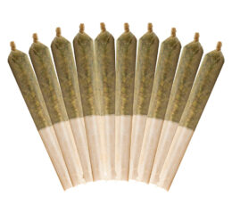 Strawberry OG Pre-Rolls