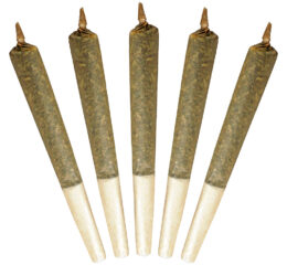 Big Buddy Sativa Pre-Roll