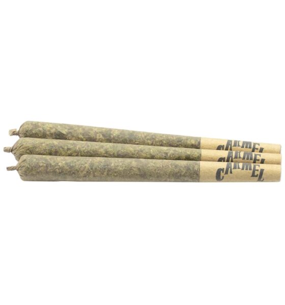 Animal Face Pre-Roll