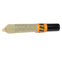 Animal Face Ceramic Tip Infused Pre-roll