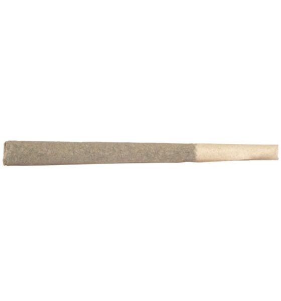 Black Widow CBD Pre-Roll