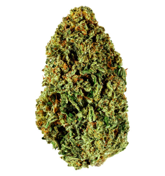 Blueberry
