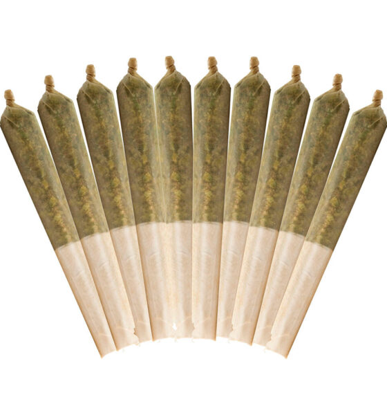 10th Planet Pre-Rolls