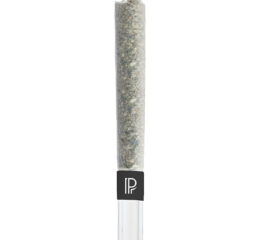 Bubble Hash Infused Pre-Roll