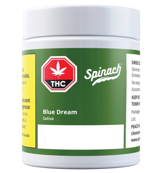 BLUE DREAM - Image 2