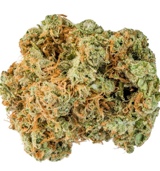 ACAPULCO GOLD