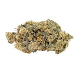 ORGANIC CRUNCH BERRIES