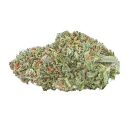 AMSTERDAM SATIVA ORGANIC CHERRY MINTS