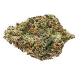 BC BOUNTY ROTATIONAL