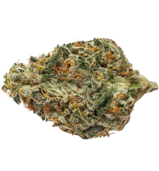 BC BOUNTY ROTATIONAL