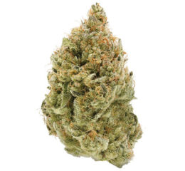 BC ORGANIC FRUIT LOOPZ