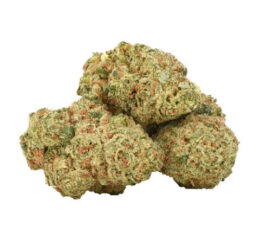 ORGANIC DURBAN GORILLA