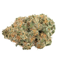 BBOB PURPLE CHERRY PUNCH INDICA