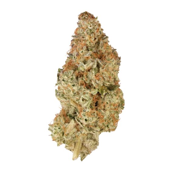 BC ORGANIC PINK DRIP LTO