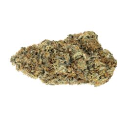 RAINBOW DRIVER CRAFT