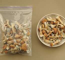 Psilocybin (sold per gram)